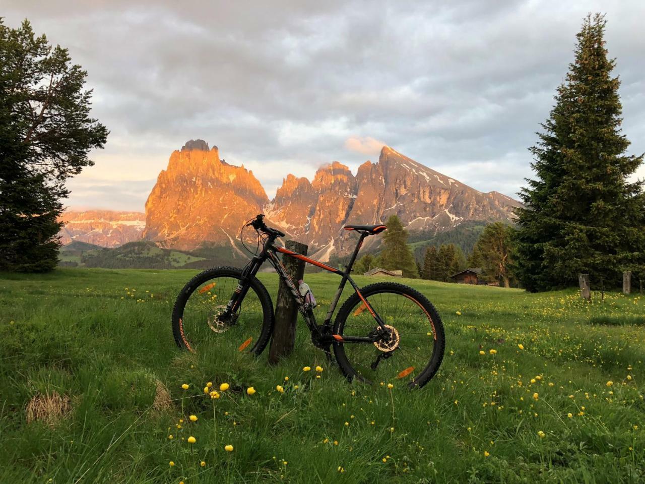 Saltria - Your Alpine Experience Alpe Di Siusi Extérieur photo